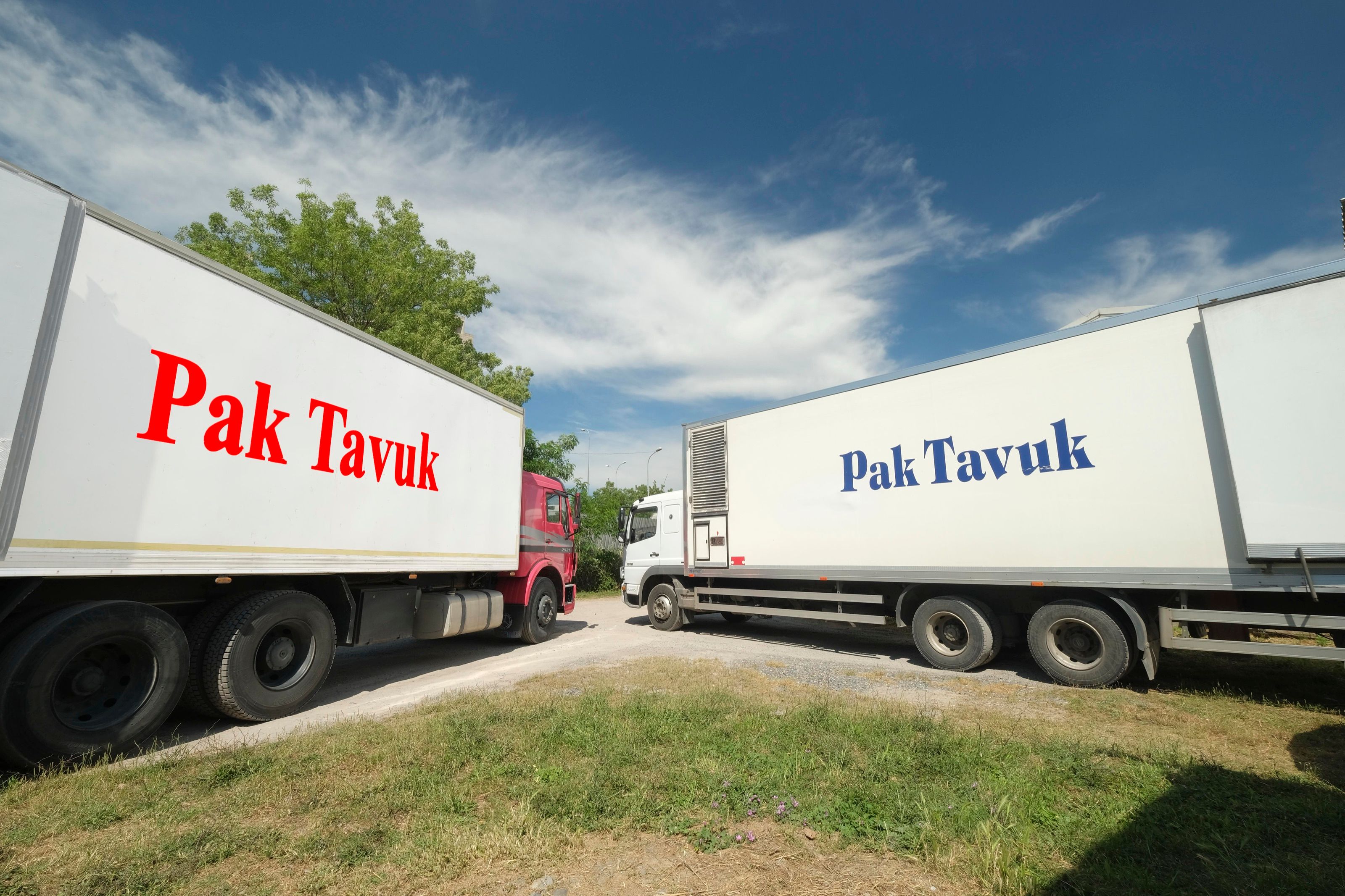 Pak Tavuk sevkiyat kamyonları